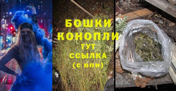крисы Баксан
