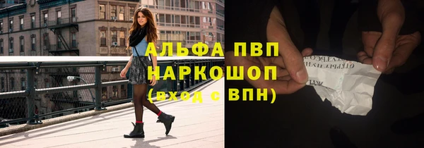 прущие грибы Балабаново