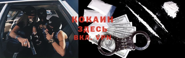 крисы Баксан