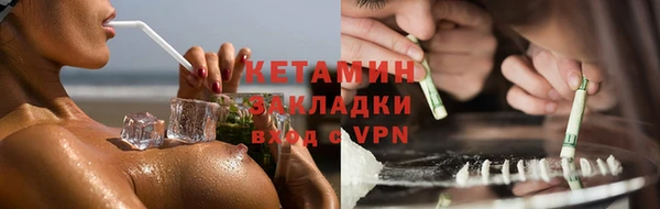 прущие грибы Балабаново