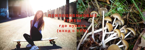 прущие грибы Балабаново