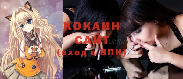 спайс Арсеньев