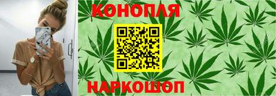 прущие грибы Новодвинск