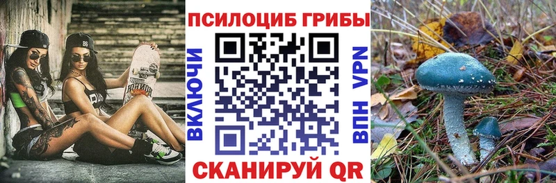 цены ссылка на мегу зеркало Псилоцибиновые грибы прущие грибы Серов