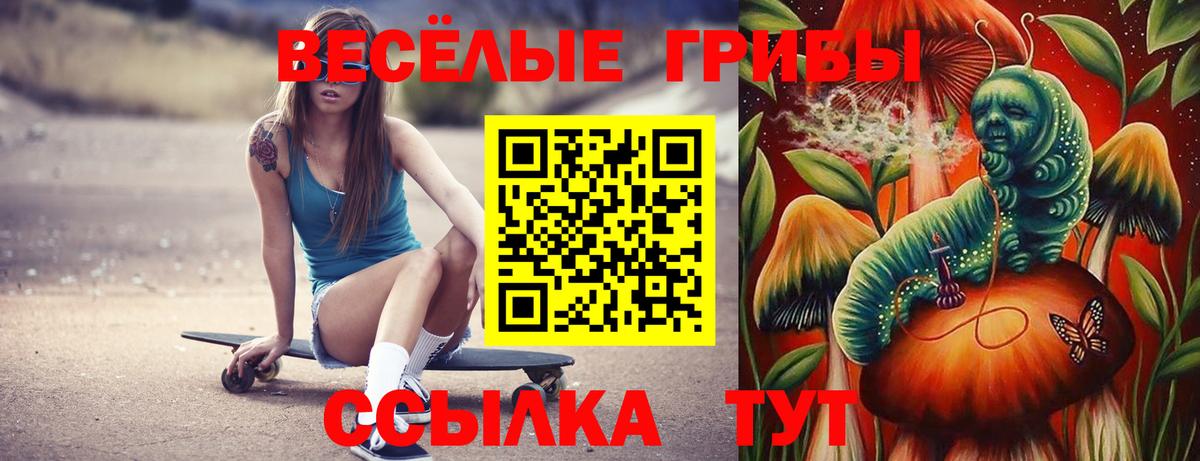 Галлюциногенные грибы GOLDEN TEACHER Серов