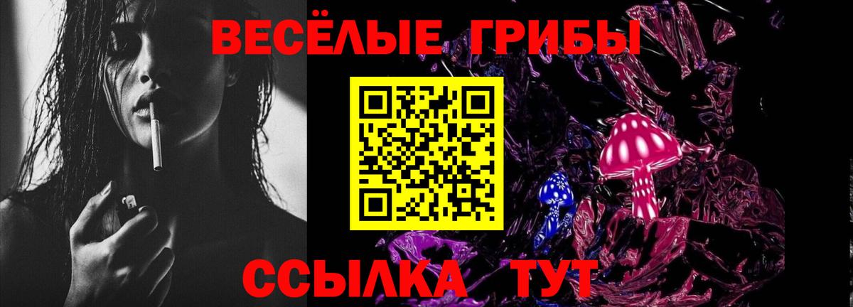 Галлюциногенные грибы Cubensis  Вход с VPN  Серов 